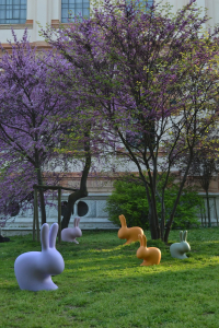 Стул пластиковый детский Qeeboo Rabbit Baby полиэтилен оранжевый Фото 26