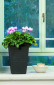 Кашпо пластиковое Keter Rattan Planter S пластик с имитацией плетения коричневый Фото 4