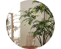 Искусственные растения