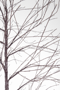 Светильник дерево напольный Garden Relax Bunch металл коричневый Фото 4