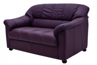 Диван прямой двухместный-thumbs-Фото4