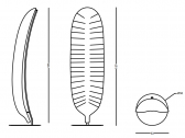 Светильник напольный SLIDE Banana Leaf Standing полиэтилен, металл Фото 2