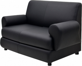 Диван прямой двухместный-thumbs-Фото1