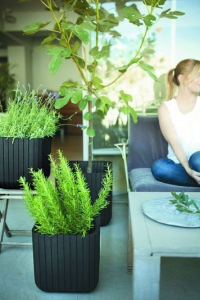 Кашпо пластиковое Keter Cube Planter M пластик с имитацией плетения антрацит Фото 2