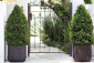 Кашпо пластиковое Keter Cube Planter L полипропилен коричневый Фото 5