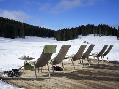 Лаунж-кресло пластиковое Nardi Net Lounge стеклопластик тортора Фото 19