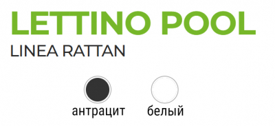 Шезлонг пластиковый GARDEN RATTAN Pool полипропилен антрацит Фото 3