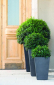 Кашпо пластиковое Keter Rattan Planter S пластик с имитацией плетения антрацит Фото 3