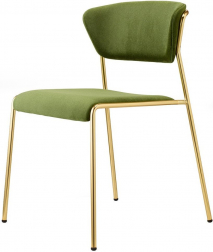 Стул с обивкой-thumbs-Фото1