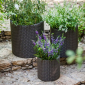 Набор пластиковых кашпо Keter Cylinder Planters пластик с имитацией плетения коричневый Фото 4