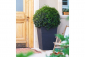 Кашпо пластиковое Keter Rattan Planter L пластик с имитацией плетения антрацит Фото 3
