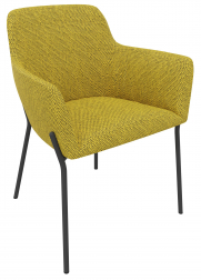 Кресло с обивкой-thumbs-Фото1