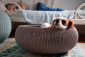 Кровать для животных Curver Cozy пластик с имитацией плетения коричневый, голубой Фото 4