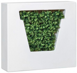 Кашпо пластиковое-thumbs-Фото1