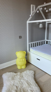 Частный проект