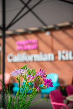 Pretty Please, Лейпциг, Германия