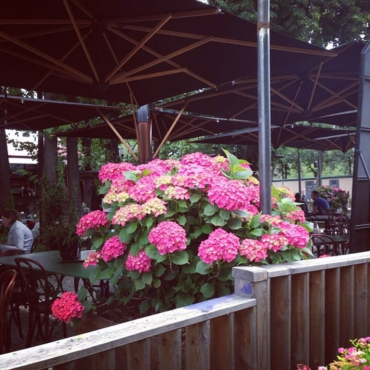 Ресторан Garden of Oldich, Москва