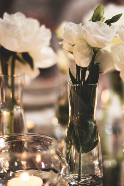 Scab Design для Celacena 2018