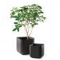 Кашпо пластиковое Keter Cube Planter L полипропилен коричневый Фото 2