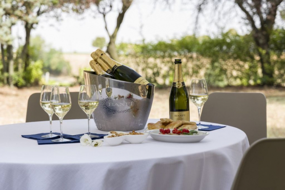 Banfi Piemonte, Алессандрия, Италия