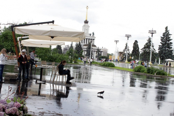 День России 2014 на ВВЦ