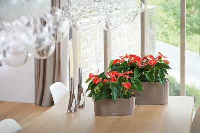 Кашпо LECHUZA Delta 20 Windowsill пластик серо-коричневый Фото 2