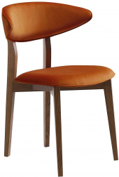 Стул с обивкой-thumbs-Фото1