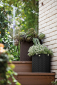 Набор пластиковых кашпо Keter Cylinder Planters пластик с имитацией плетения коричневый Фото 9