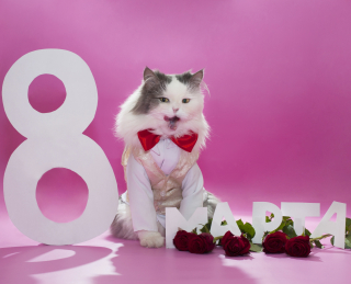 График работы в праздничные дни

 