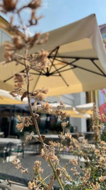 Дом российской кухни, ВДНХ, г. Москва