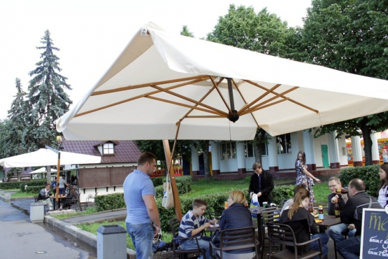 День России 2014 на ВВЦ