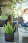 Кашпо пластиковое Keter Cube Planter L полипропилен антрацит Фото 3