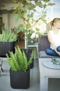 Кашпо пластиковое Keter Cube Planter L полипропилен антрацит Фото 3