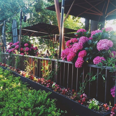 Ресторан Garden of Oldich, Москва