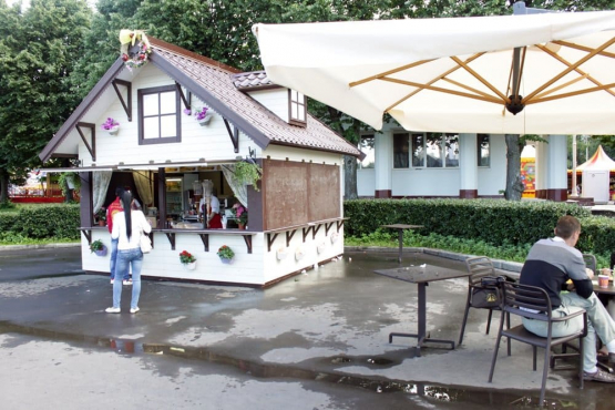 День России 2014 на ВВЦ