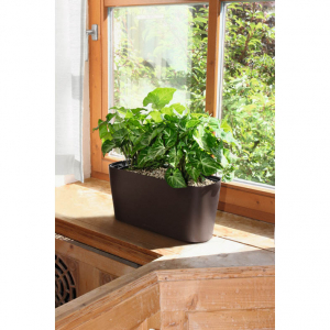 Кашпо LECHUZA Delta 20 Windowsill пластик кофе Фото 2