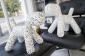 Собака пластиковая Magis Puppy полиэтилен далматинец Фото 14