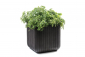 Кашпо пластиковое Keter Cube Planter L полипропилен коричневый Фото 1
