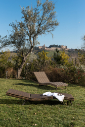 Шезлонг-лежак плетеный-thumbs-Фото3