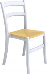 Стул пластиковый-thumbs-Фото1