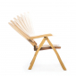 Кресло деревянное складное WArt Salt ироко Фото 2