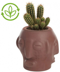 Кашпо из биопластика-thumbs-Фото1