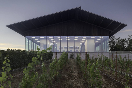 Furioso Vineyards, Данди, Орегон, США