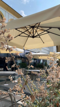 Дом российской кухни, ВДНХ, г. Москва