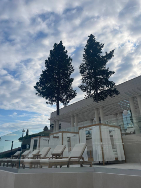 SPA-отель 