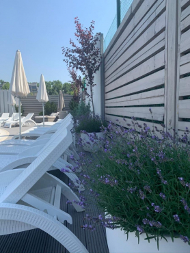 Теннисный клуб GEDON, Ростов-на-Дону