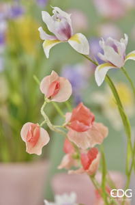 Горошек душистый декоративный EDG Sweet Pea розовый микс Фото 5