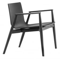 Лаунж-кресло деревянное-thumbs-Фото1