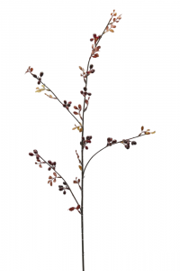 Ветвь ягодная декоративная EDG Berries  темно-красный Фото 1