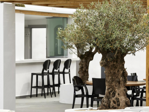 Kalisti Hotel & Suites, Фира, Санторини, Греция